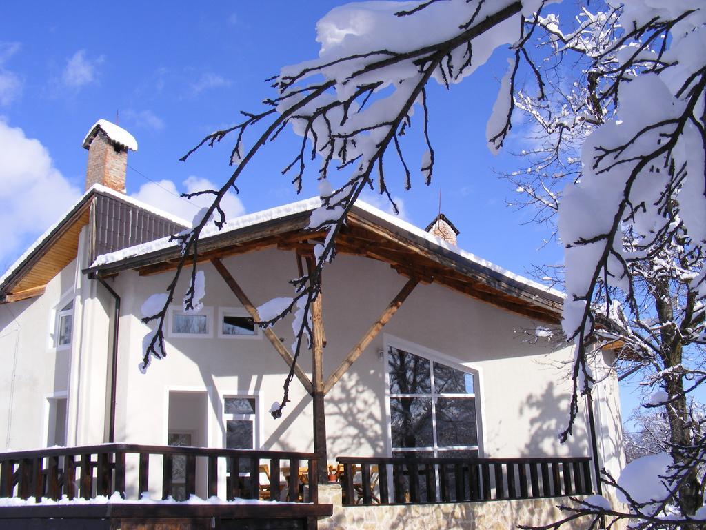 Vila Carpathia Bran  Exterior foto